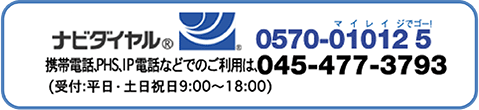 ir_C®0570-010125 gѓdbAPHSAIPdbȂǂł̂ṕA045-477-3793(t:9`21Ayj9`18)